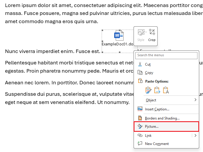 Embedded file OLE object right click menu Picture option